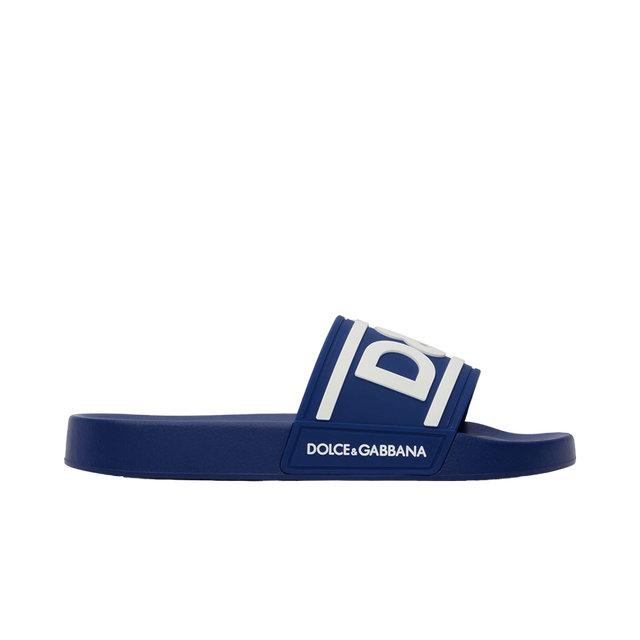 Blue Logo Slides