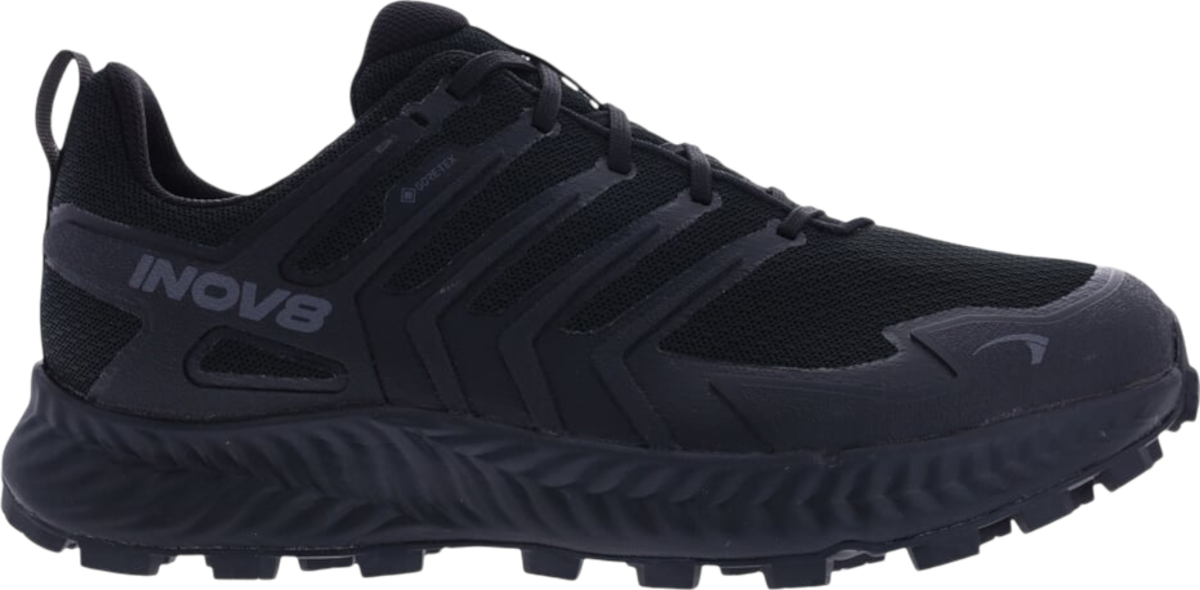 Кецове и обувки inov-8 INOV-8 Roclite Gtx Черно | 001287-bkdg-w-001, 0