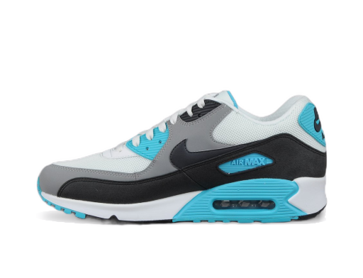 Кецове и обувки Nike Air Max 90 Essential Сиво | 537384-100
