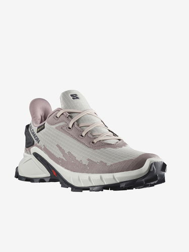 Кецове и обувки Salomon Alphacross 4 GTX Сиво | L41723200, 3