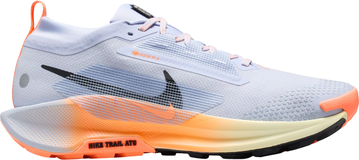 Кецове и обувки Nike Pegasus Trail 5 GORE-TEX Многоцветен | fq0908-011, 0