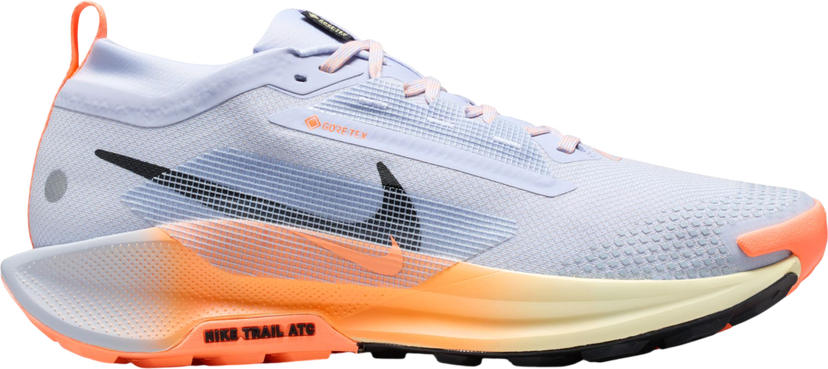 Кецове и обувки Nike Pegasus Trail 5 GORE-TEX Многоцветен | fq0908-011