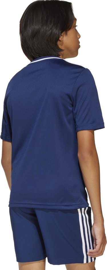 Тениска adidas Originals Adidas Campeon 25 Jersey Синьо | jj4163, 4