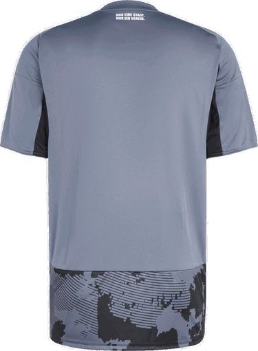 Фланелка adidas Originals Eintracht Frankfurt 3rd Jersey 2025/26 Сиво | kk6442, 1