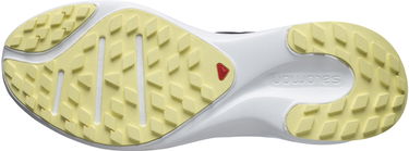 Кецове и обувки Salomon Sense Flow 2 Черно | L41218600, 2