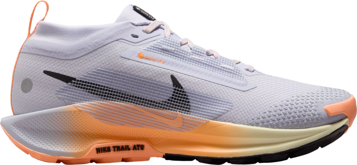 Кецове и обувки Nike Pegasus Trail 5 GORE-TEX Многоцветен | fq0912-011, 0