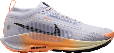 Кецове и обувки Nike Pegasus Trail 5 GORE-TEX Многоцветен | fq0912-011, 0