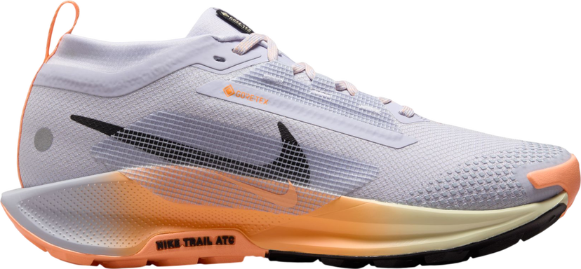 Кецове и обувки Nike Pegasus Trail 5 GORE-TEX Многоцветен | fq0912-011