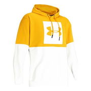 Under Armour Training Hoodie