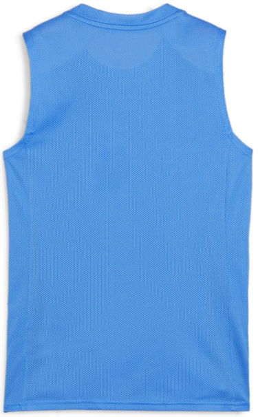 Потник Puma teamGOAL Sleeveless Jersey Wmns Синьо | 706050-02, 1