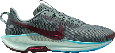 Кецове и обувки Nike Pegasus Trail 5 Многоцветен | dv3864-302, 0