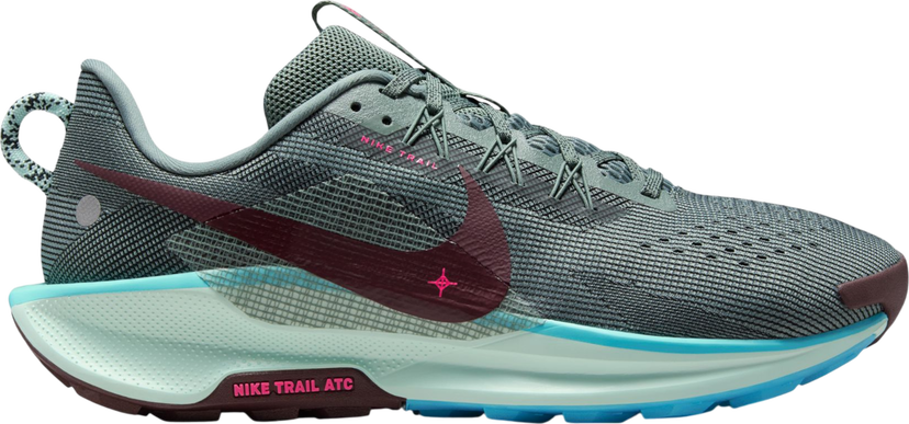 Кецове и обувки Nike Pegasus Trail 5 Многоцветен | dv3864-302