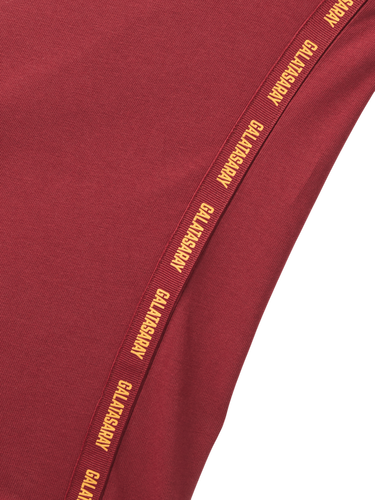 Тениска Puma Galatasaray Istanbul Logo T-Shirt Бургунди | e251047-100, 3