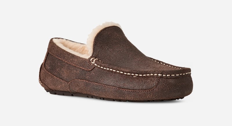 Кецове и обувки UGG UGG Ascot Distressed Slippers Кафяво | 1171296-DDC, 1