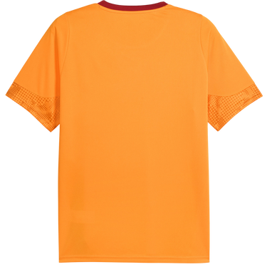 Фланелка Puma Galatasaray Istanbul Training Jersey Оранжево
 | 949105-006, 1