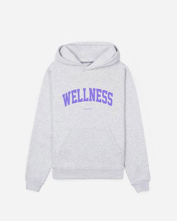 Суитчър Sporty & Rich Wellness Ivy Hoodie Сиво | HO431HG, 1
