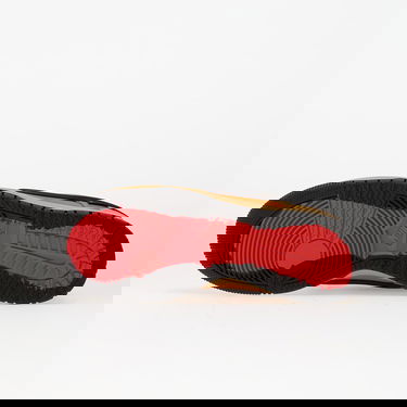 Кецове и обувки Nike Dunk Low Gtx Кафяво | HQ2053-700, 1