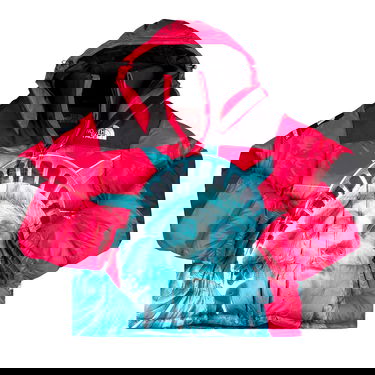 Яке Supreme The North Face x Statue Of Liberty Baltoro Jacket Червено | FW19J2 RED, 1