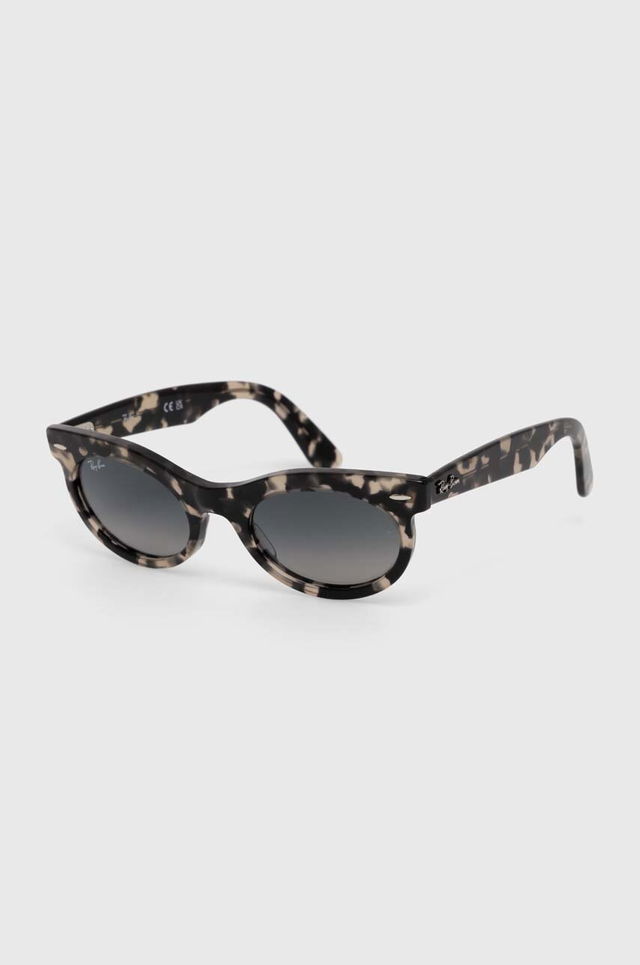 Ray-Ban Sunglasses