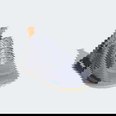 Кецове и обувки adidas Originals NMD_R1 Spectoo Сиво | FZ3200, 5