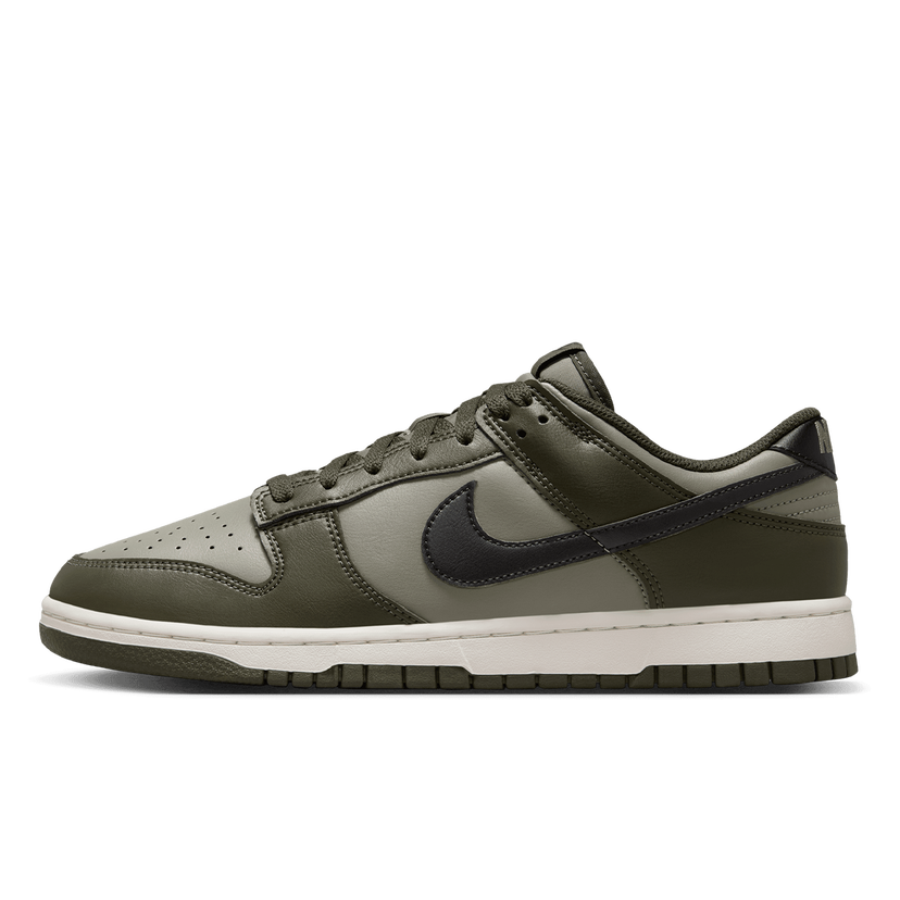 Кецове и обувки Nike Nike Dunk Low Retro Зелено | HF5441-300
