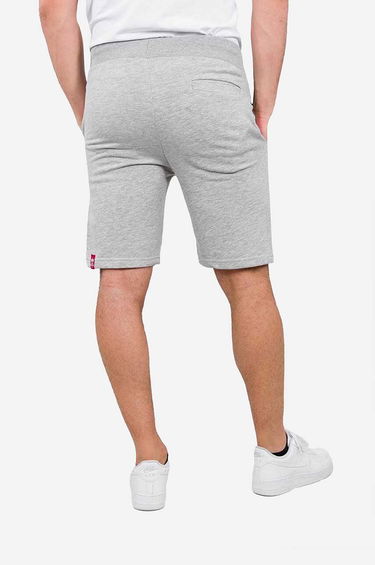 Къси панталони Alpha Industries Big Letters Shorts Сиво | 126344-17, 4