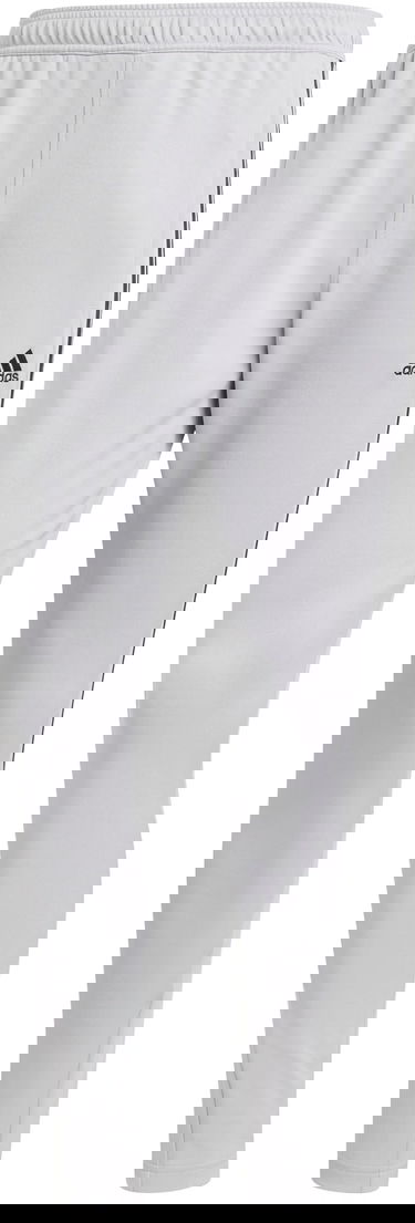 Спортни панталони adidas Performance Sportswear Tiro Pants Сиво | iy4288, 1