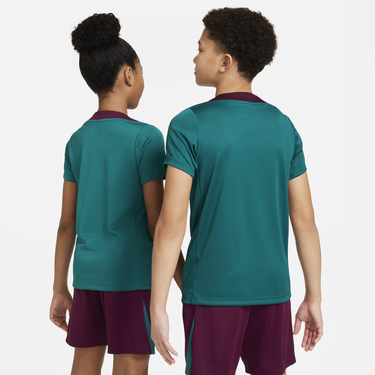 Комплект Nike Paris Saint-Germain Strike Dri-FIT Knit Soccer T-Shirt Зелено | FN9862-382, 3
