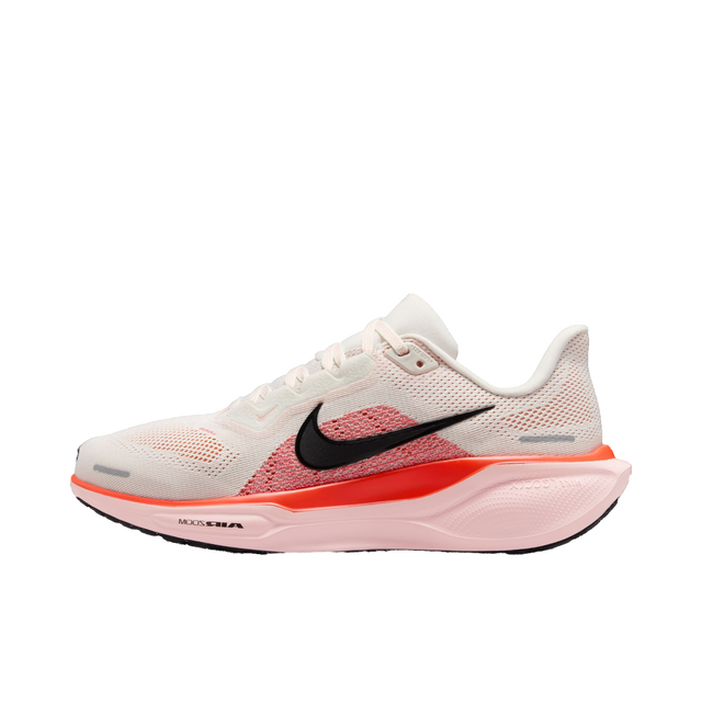Pegasus 41