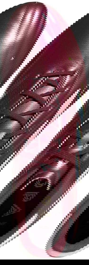 Кецове и обувки adidas Performance Adidas COPA PURE 2 ELITE FG Бургунди | ie7486, 1