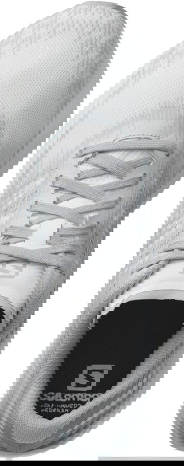 Кецове и обувки Salomon Sonic 5 Balance Сиво | l41710300, 2