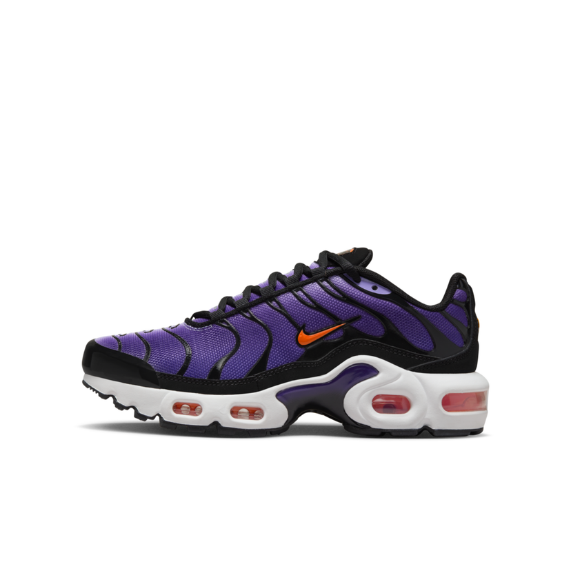 Кецове и обувки Nike Air Max Plus GS Лилаво | CD0609-024