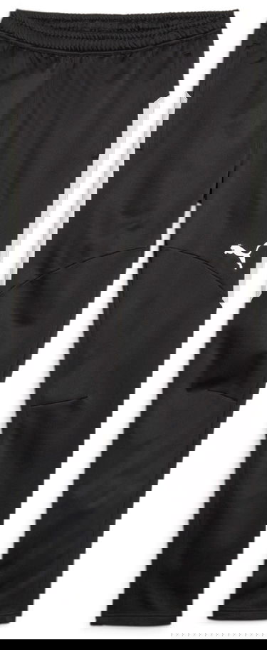 Панталони и дънки Puma Individual Winterized Football Pants Черно | 658511-03, 0