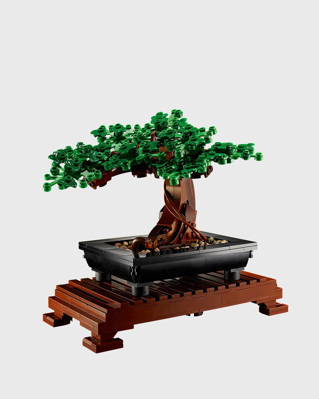 Bonsai Tree