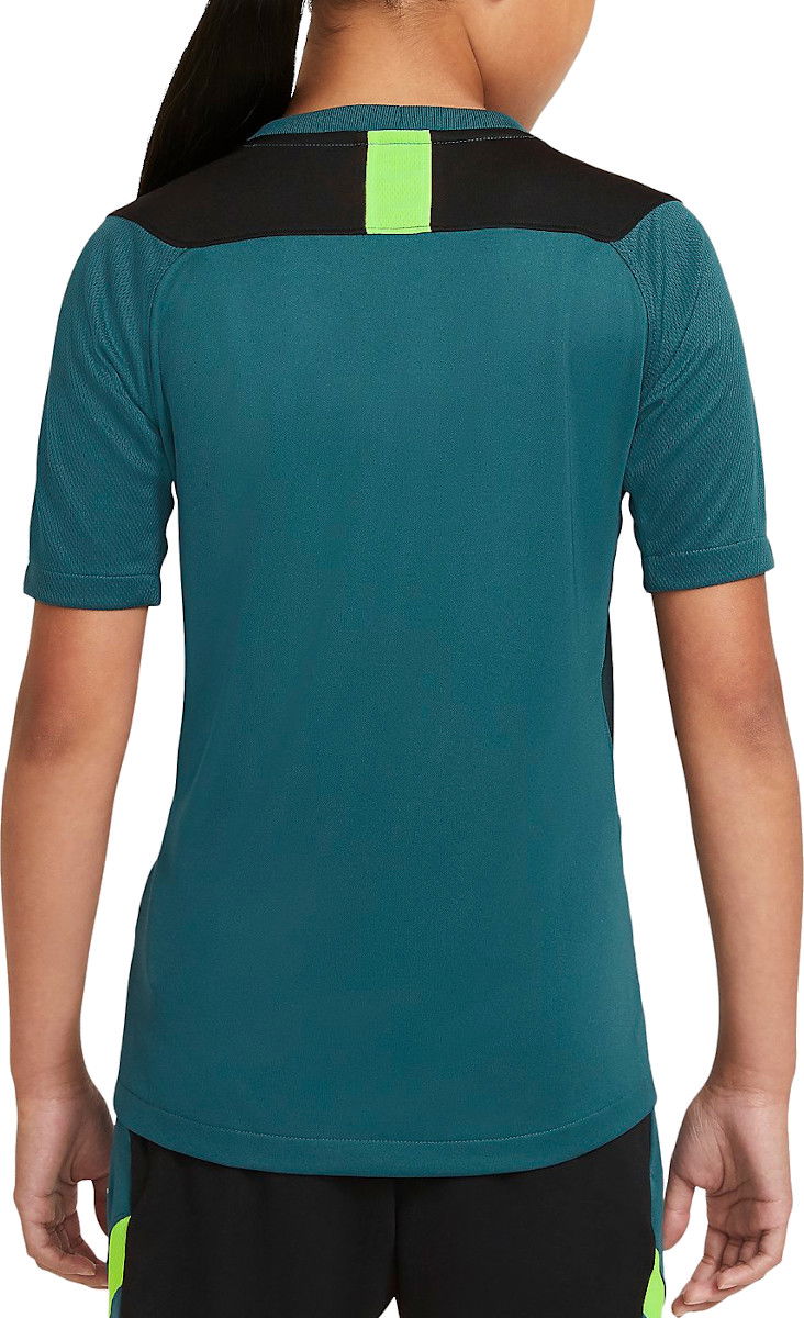 Тениска Nike Nike Dri-FIT Academy T-Shirt Зелено | cv1471-393, 1