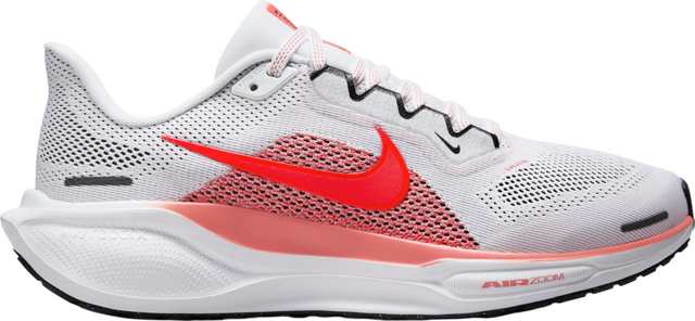 Pegasus 41
