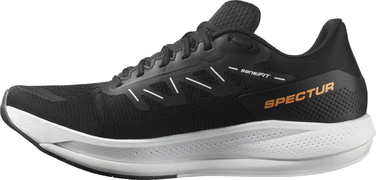 Кецове и обувки Salomon Spectur Черно | l41589600, 0