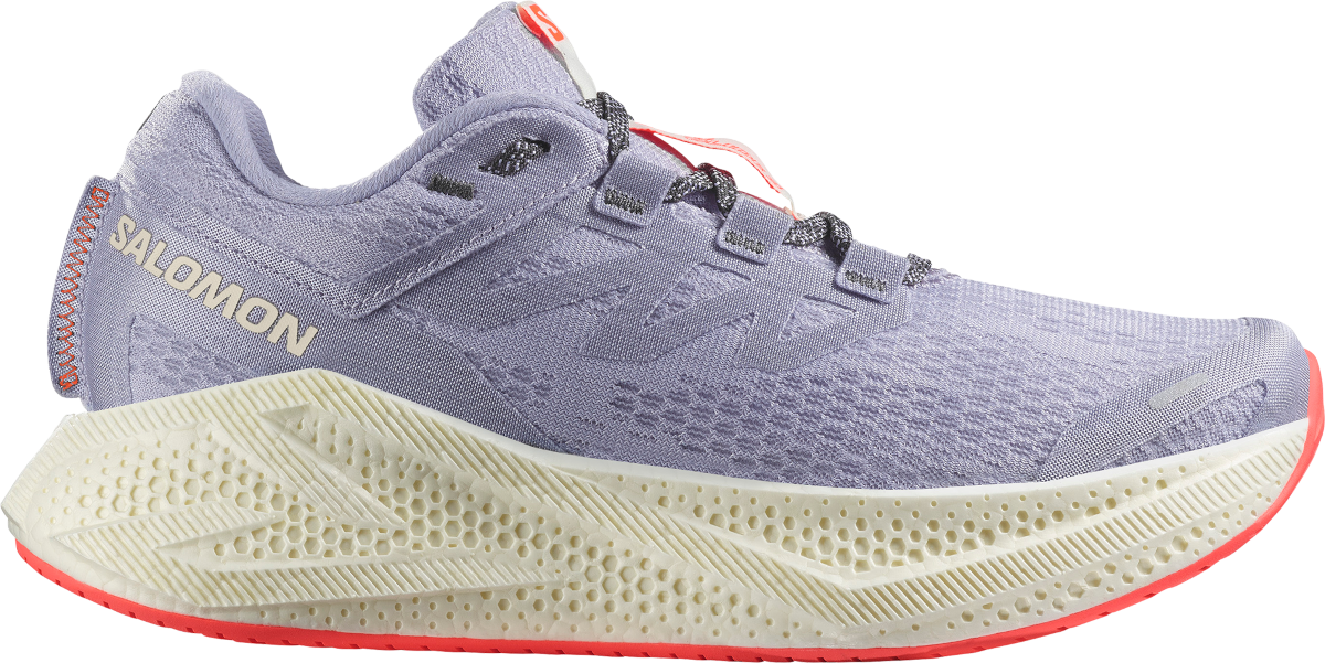 Кецове и обувки Salomon Salomon Aero Glide 3 Лилаво | l47759400, 0