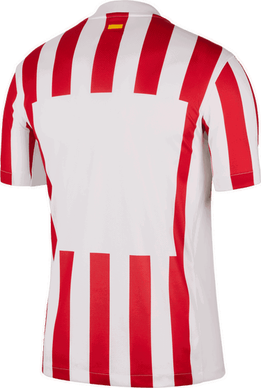 Фланелка Nike Nike ATM 2025/26 Stadium Home Jersey Червено | hj4587-615, 1