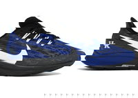 Air Zoom Pegasus 36 Kentucky