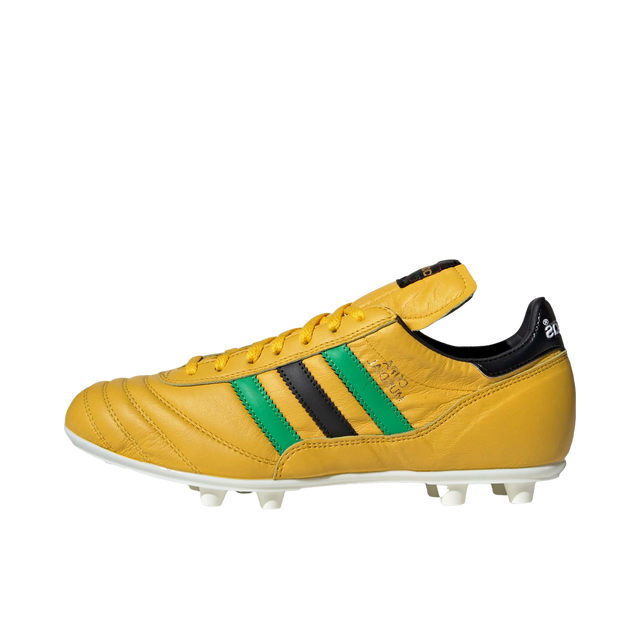 COPA MUNDIAL FG