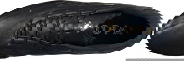 Кецове и обувки adidas Performance COPA PURE 2 ELITE FG Черно | ig6404, 1