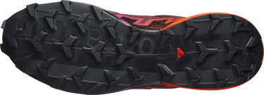 Кецове и обувки Salomon Salomon Speedcross 6 Многоцветен | l47960900, 4