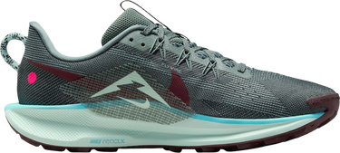 Кецове и обувки Nike Pegasus Trail 5 Многоцветен | dv3864-302, 3