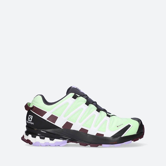 Кецове и обувки Salomon XA Pro 3D V8 GTX W Зелено | 415636, 1