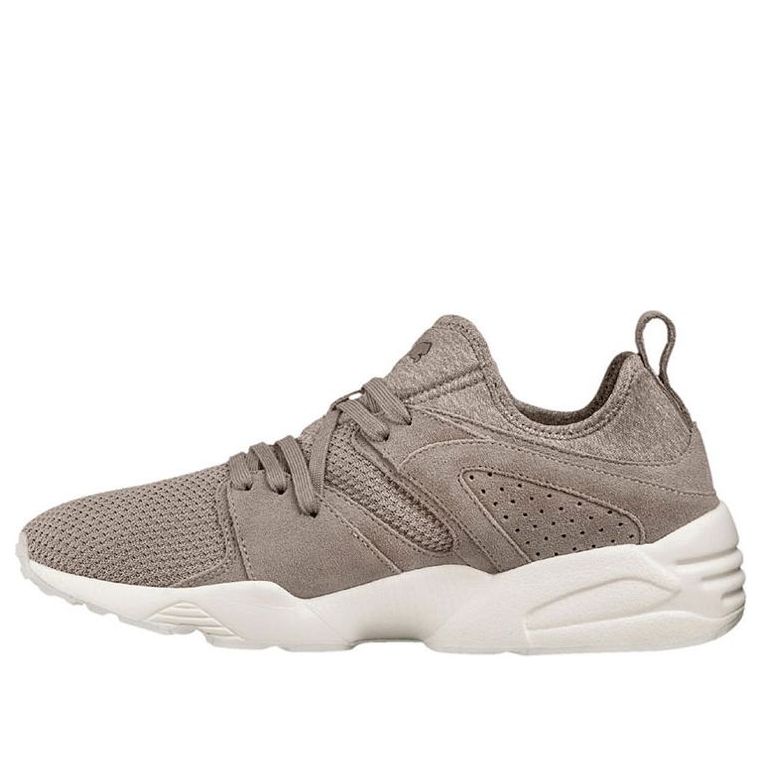 Кецове и обувки Puma Blaze Ct Сиво | 363749-02, 0