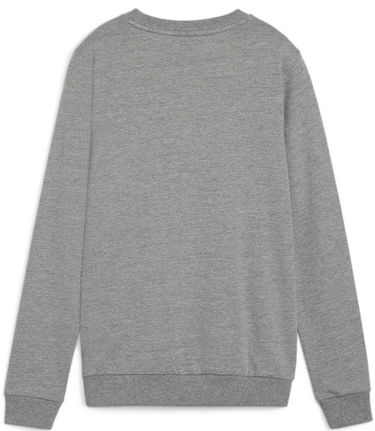 Суитчър Puma teamGOAL Casuals Sweatshirt Сиво | 658594-33, 1