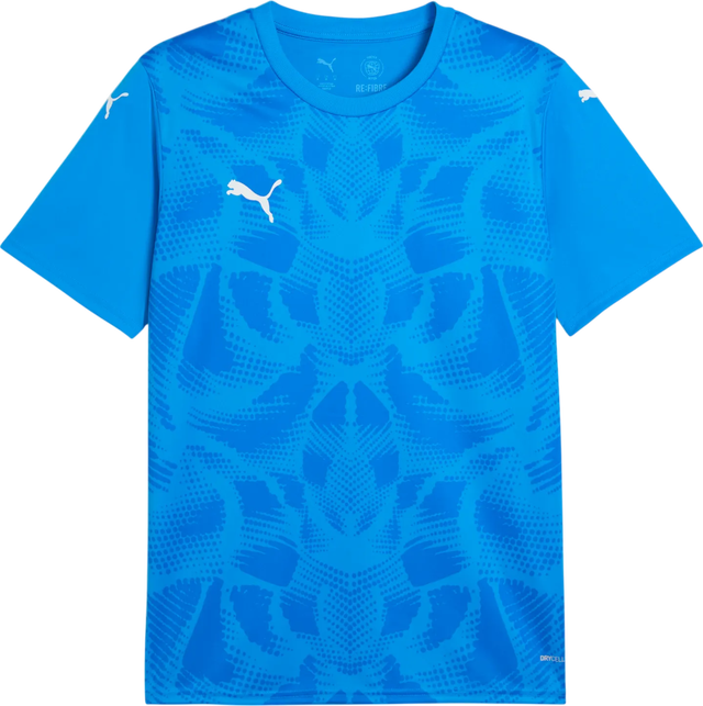 Puma teamULTIMATE Jersey