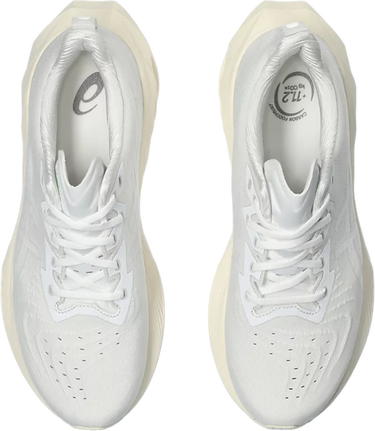 Кецове и обувки Asics NOVABLAST 4 Сиво | 1011b693-102, 2