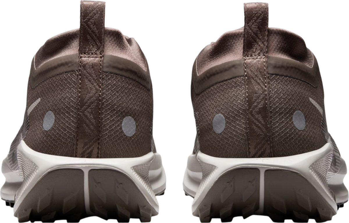 Кецове и обувки Nike Pegasus Trail 5 GORE-TEX Кафяво | fq0908-012, 1